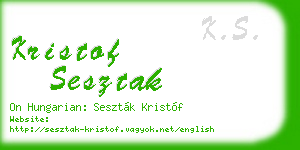 kristof sesztak business card